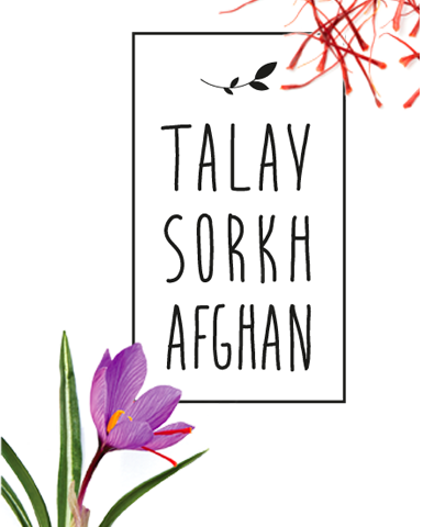 ABOUT TSA (c) Anastasiia Malinich Joe McUbed Amy Lv _Shutterstock1